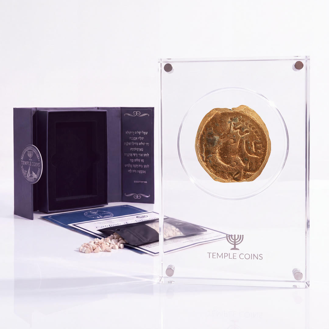 Bronze Masada prutah, amphora obverse, in a display case with gift box, certificate and a packet of crushed Jerusalem stone
