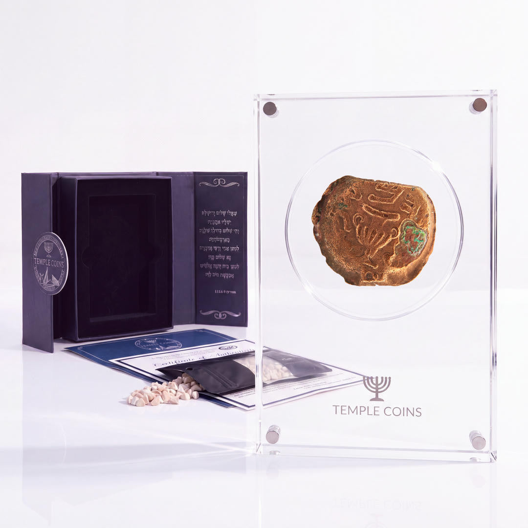 Bronze Masada prutah, amphora obverse, in a display case with gift box, certificate and a packet of crushed Jerusalem stone