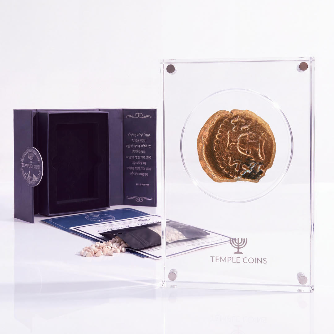 Bronze Masada prutah, amphora obverse, in a display case with gift box, certificate and a packet of crushed Jerusalem stone