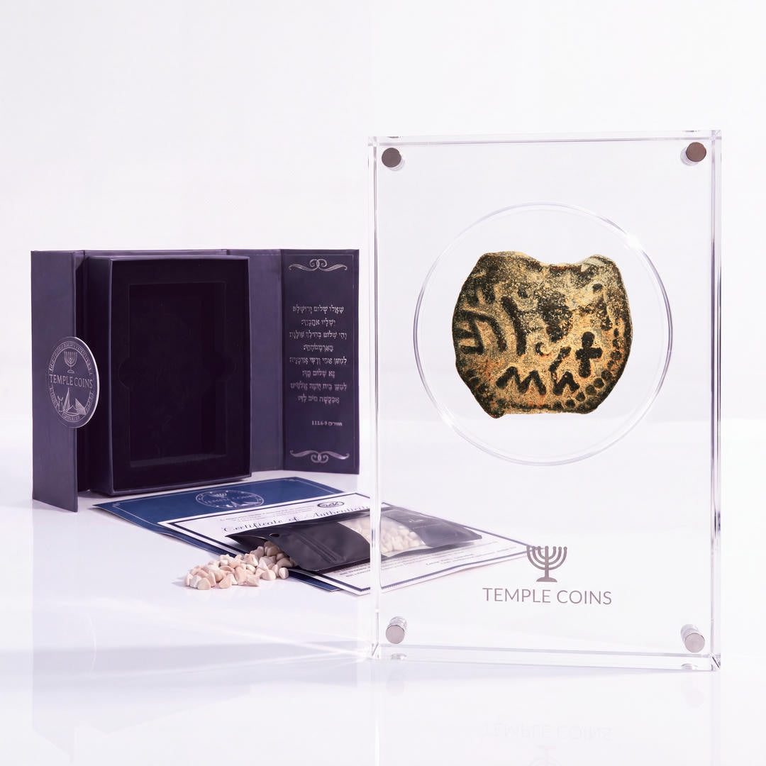 Bronze Masada prutah, amphora obverse, in a display case with gift box, certificate and a packet of crushed Jerusalem stone