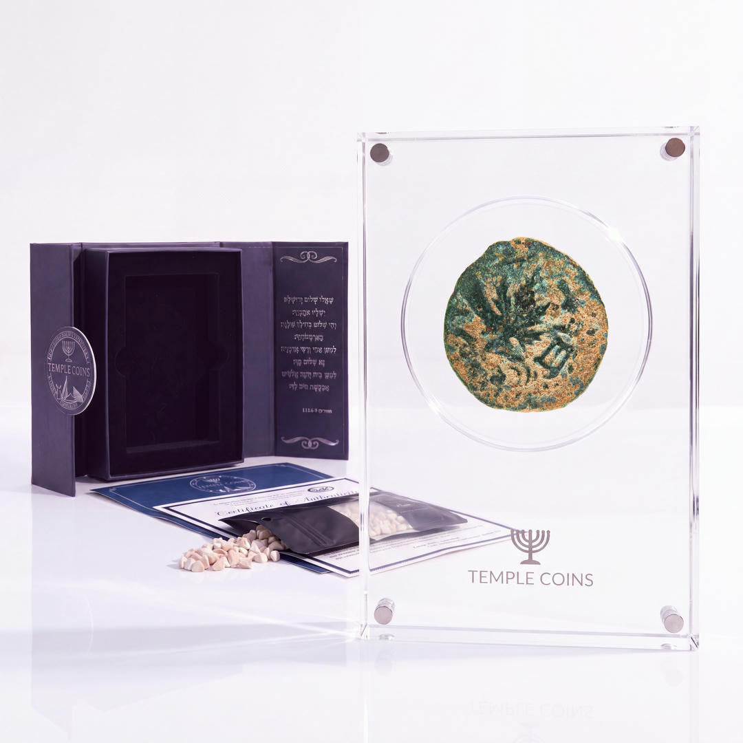 Bronze Masada prutah, amphora obverse, in a display case with gift box, certificate and a packet of crushed Jerusalem stone