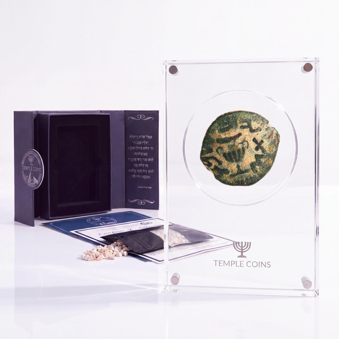 Bronze Masada prutah, amphora obverse, in a display case with gift box, certificate and a packet of crushed Jerusalem stone