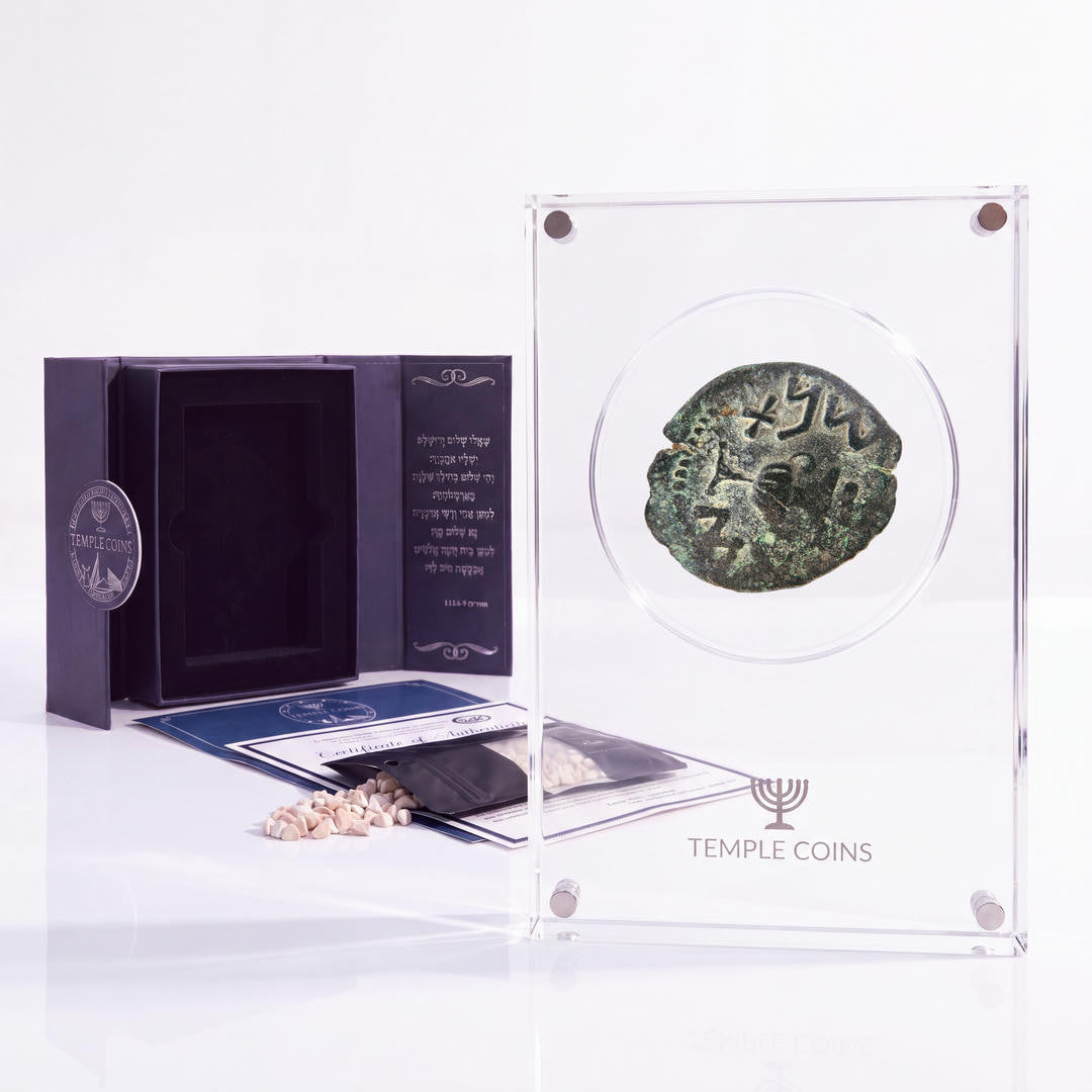 Bronze Masada prutah, amphora obverse, in a display case with gift box, certificate and a packet of crushed Jerusalem stone
