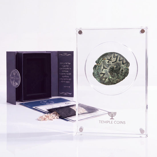 Bronze Masada prutah, amphora obverse, in a display case with gift box, certificate and a packet of crushed Jerusalem stone