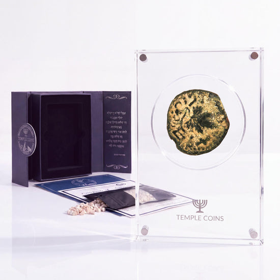 Bronze Masada prutah, amphora obverse, in a display case with gift box, certificate and a packet of crushed Jerusalem stone