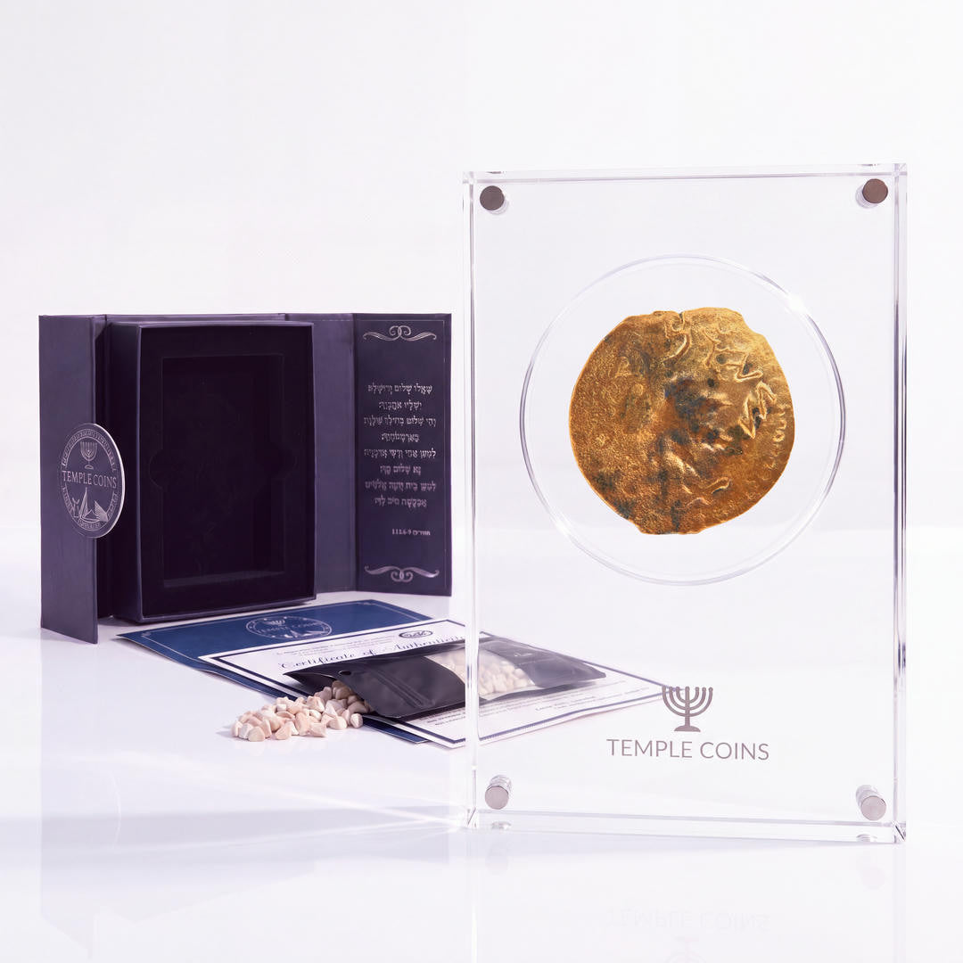 Bronze Masada prutah, amphora obverse, in a display case with gift box, certificate and a packet of crushed Jerusalem stone