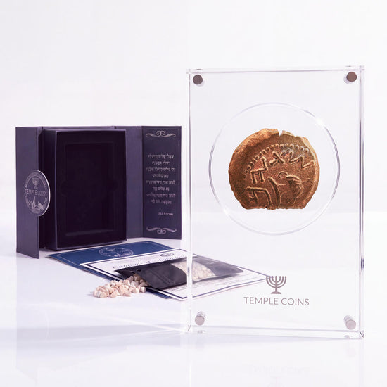 Bronze Masada prutah, amphora obverse, in a display case with gift box, certificate and a packet of crushed Jerusalem stone