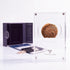 Bronze Masada prutah, amphora obverse, in a display case with gift box, certificate and a packet of crushed Jerusalem stone