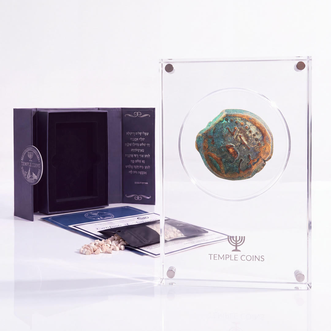 Bronze Masada prutah, amphora obverse, in a display case with gift box, certificate and a packet of crushed Jerusalem stone
