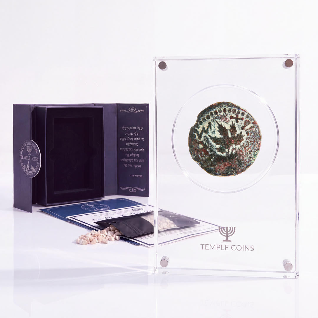 Bronze Masada prutah, amphora obverse, in a display case with gift box, certificate and a packet of crushed Jerusalem stone
