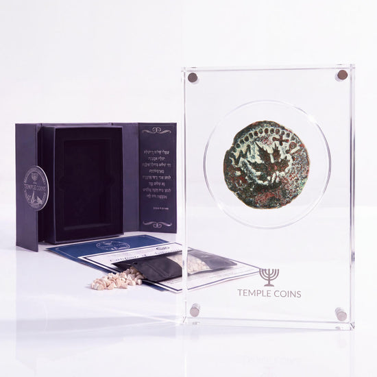 Bronze Masada prutah, amphora obverse, in a display case with gift box, certificate and a packet of crushed Jerusalem stone