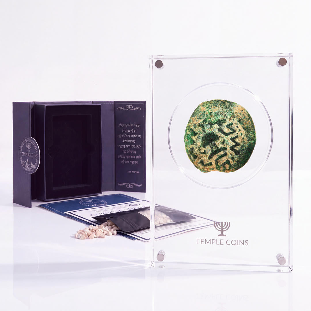 Bronze Masada prutah, amphora obverse, in a display case with gift box, certificate and a packet of crushed Jerusalem stone