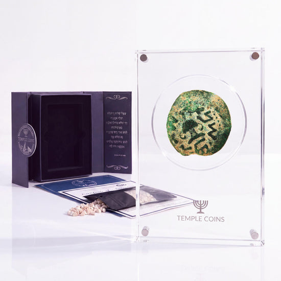 Bronze Masada prutah, amphora obverse, in a display case with gift box, certificate and a packet of crushed Jerusalem stone