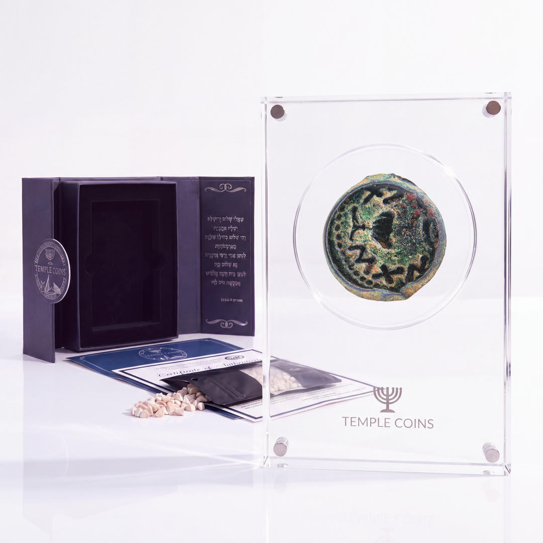 Bronze Masada prutah, amphora obverse, in a display case with gift box, certificate and a packet of crushed Jerusalem stone