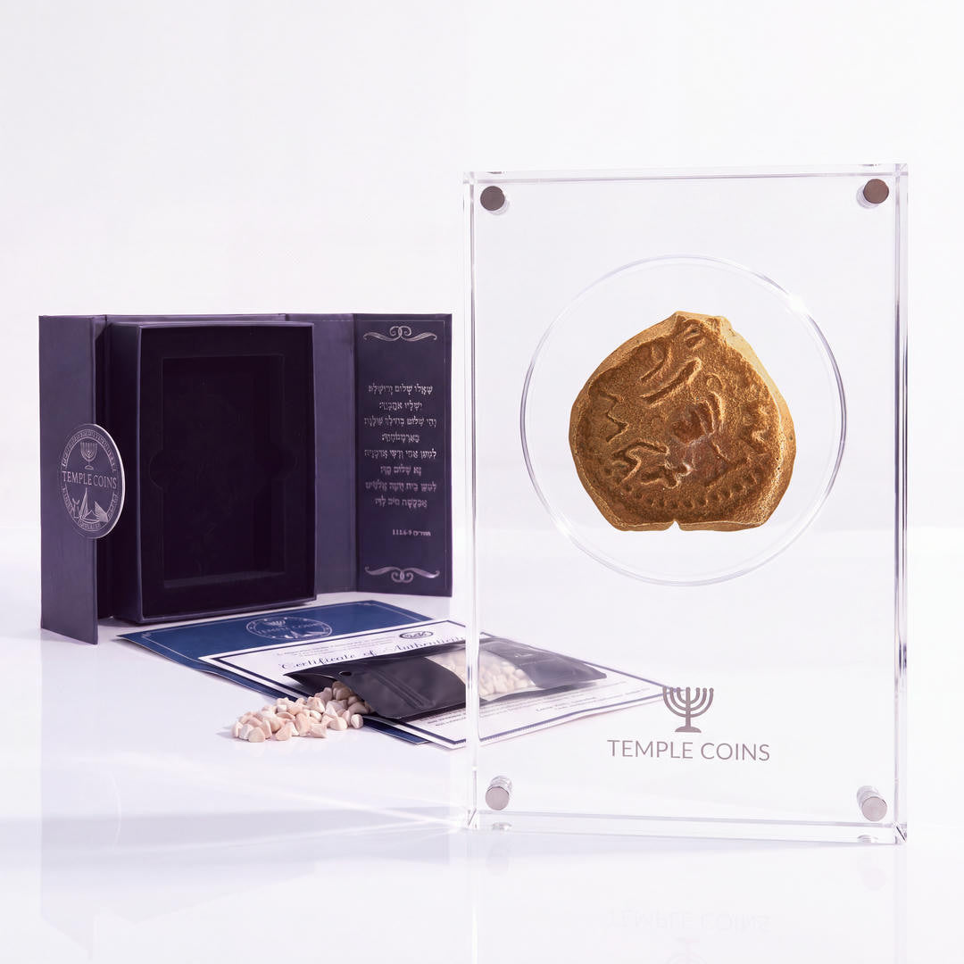 Bronze Masada prutah, amphora obverse, in a display case with gift box, certificate and a packet of crushed Jerusalem stone