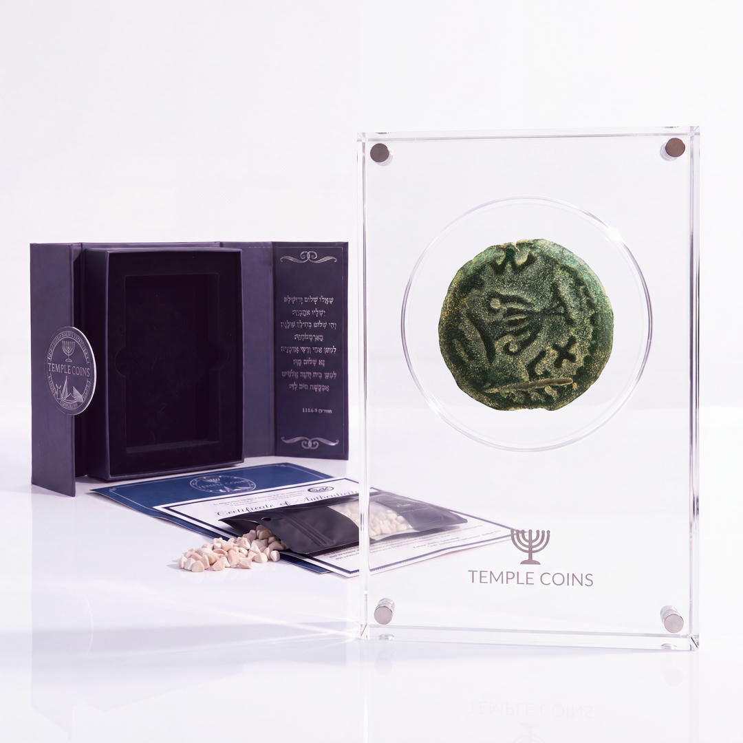 Bronze Masada prutah, amphora obverse, in a display case with gift box, certificate and a packet of crushed Jerusalem stone