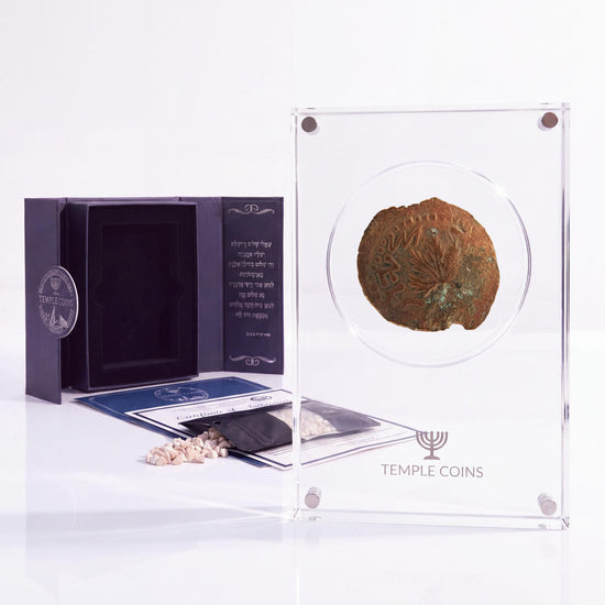 Bronze Masada prutah, amphora obverse, in a display case with gift box, certificate and a packet of crushed Jerusalem stone