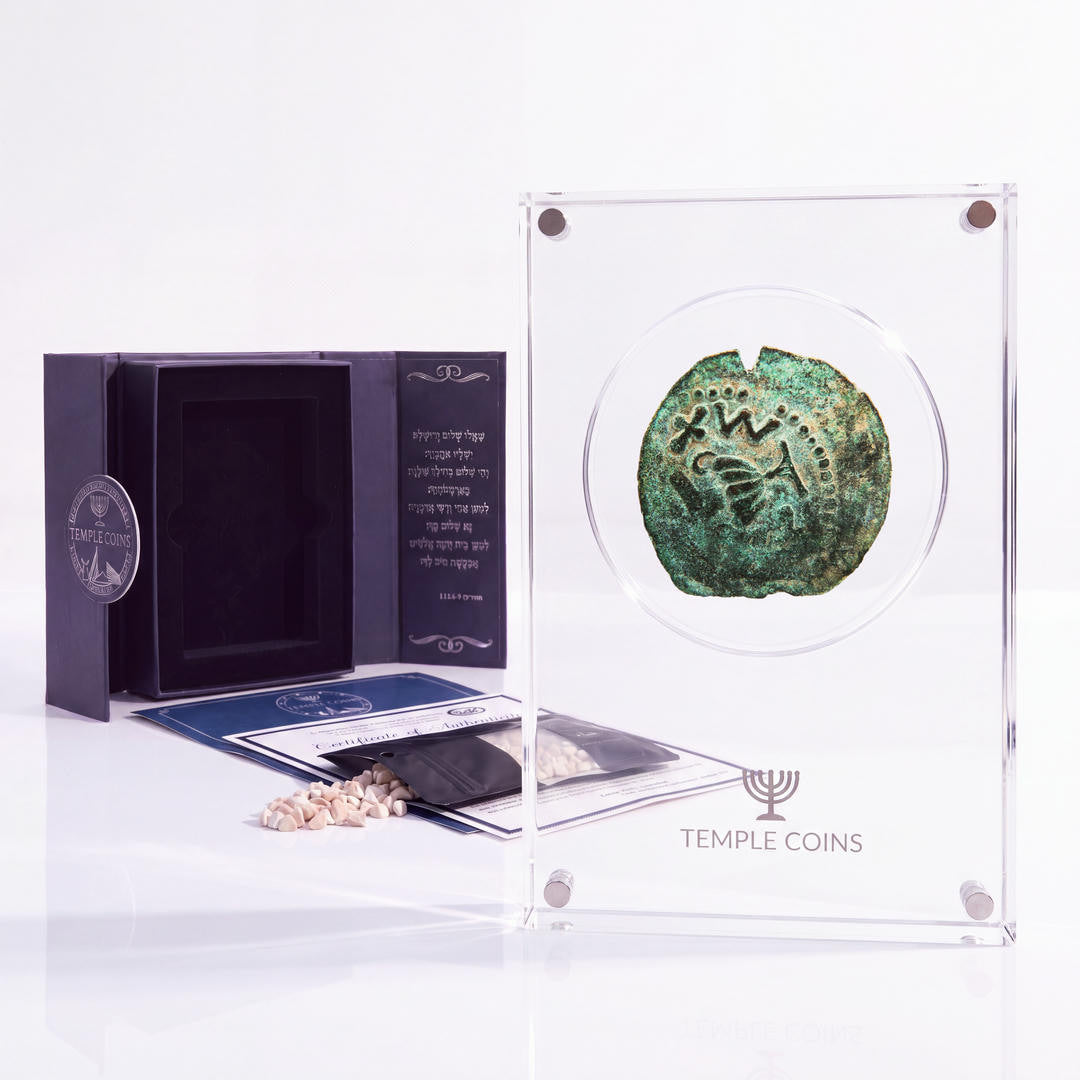 Bronze Masada prutah, amphora obverse, in a display case with gift box, certificate and a packet of crushed Jerusalem stone