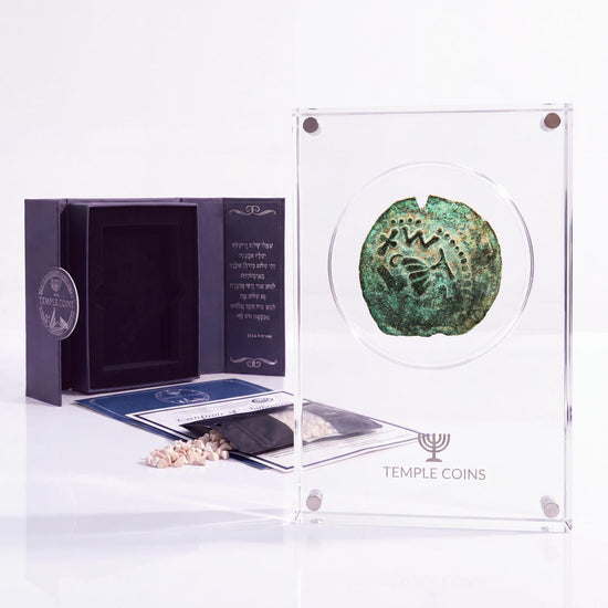Bronze Masada prutah, amphora obverse, in a display case with gift box, certificate and a packet of crushed Jerusalem stone