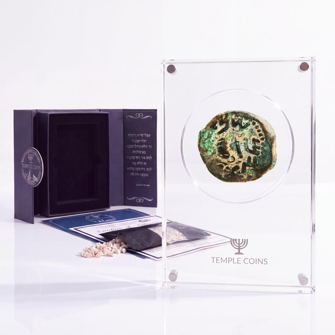 Bronze Masada prutah, amphora obverse, in a display case with gift box, certificate and a packet of crushed Jerusalem stone