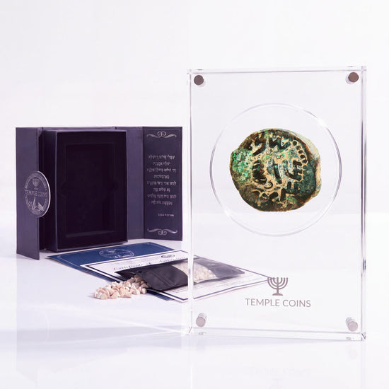Bronze Masada prutah, amphora obverse, in a display case with gift box, certificate and a packet of crushed Jerusalem stone