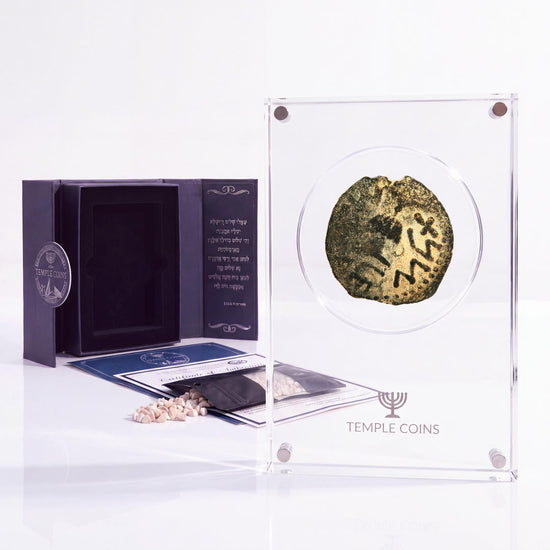 Bronze Masada prutah, amphora obverse, in a display case with gift box, certificate and a packet of crushed Jerusalem stone