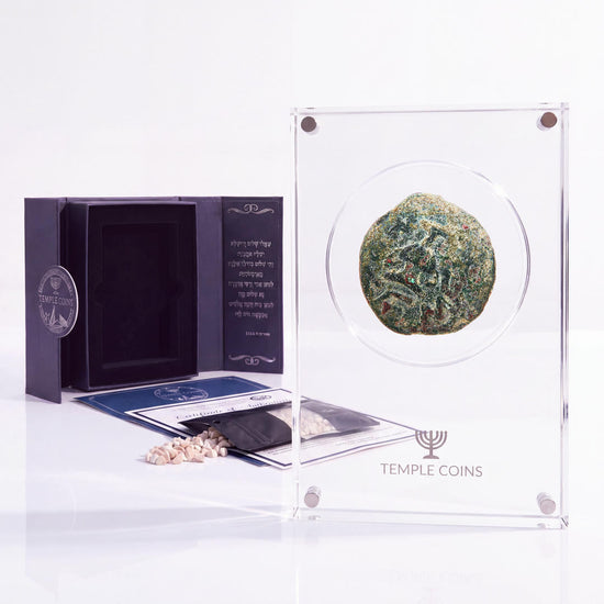 Bronze Masada prutah, amphora obverse, in a display case with gift box, certificate and a packet of crushed Jerusalem stone