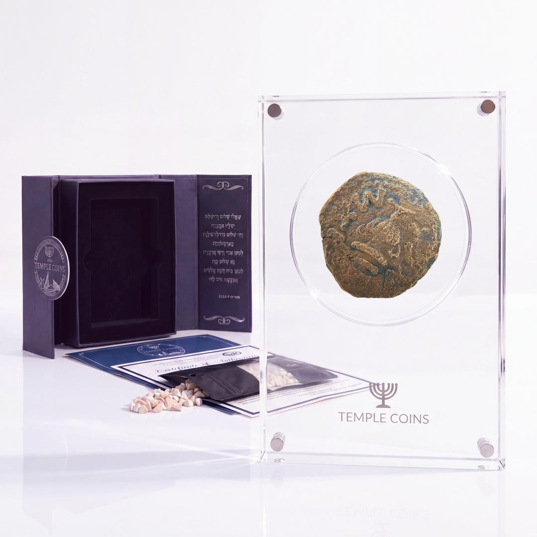 Bronze Masada prutah, amphora obverse, in a display case with gift box, certificate and a packet of crushed Jerusalem stone