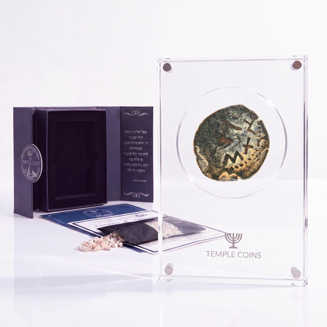 Bronze Masada prutah, amphora obverse, in a display case with gift box, certificate and a packet of crushed Jerusalem stone
