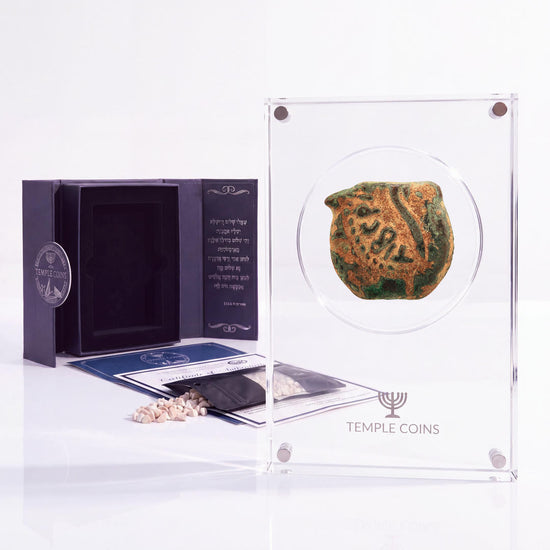 Bronze Pontius Pilate prutah, lituus obverse, in a display case with gift box, certificate and a packet of crushed Jerusalem stone