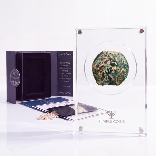 Bronze Pontius Pilate prutah, lituus obverse, in a display case with gift box, certificate and a packet of crushed Jerusalem stone