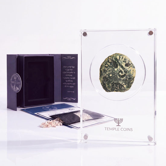 Bronze Pontius Pilate prutah, lituus obverse, in a display case with gift box, certificate and a packet of crushed Jerusalem stone
