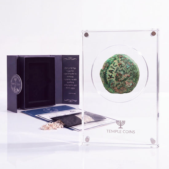 Bronze Pontius Pilate prutah, lituus obverse, in a display case with gift box, certificate and a packet of crushed Jerusalem stone