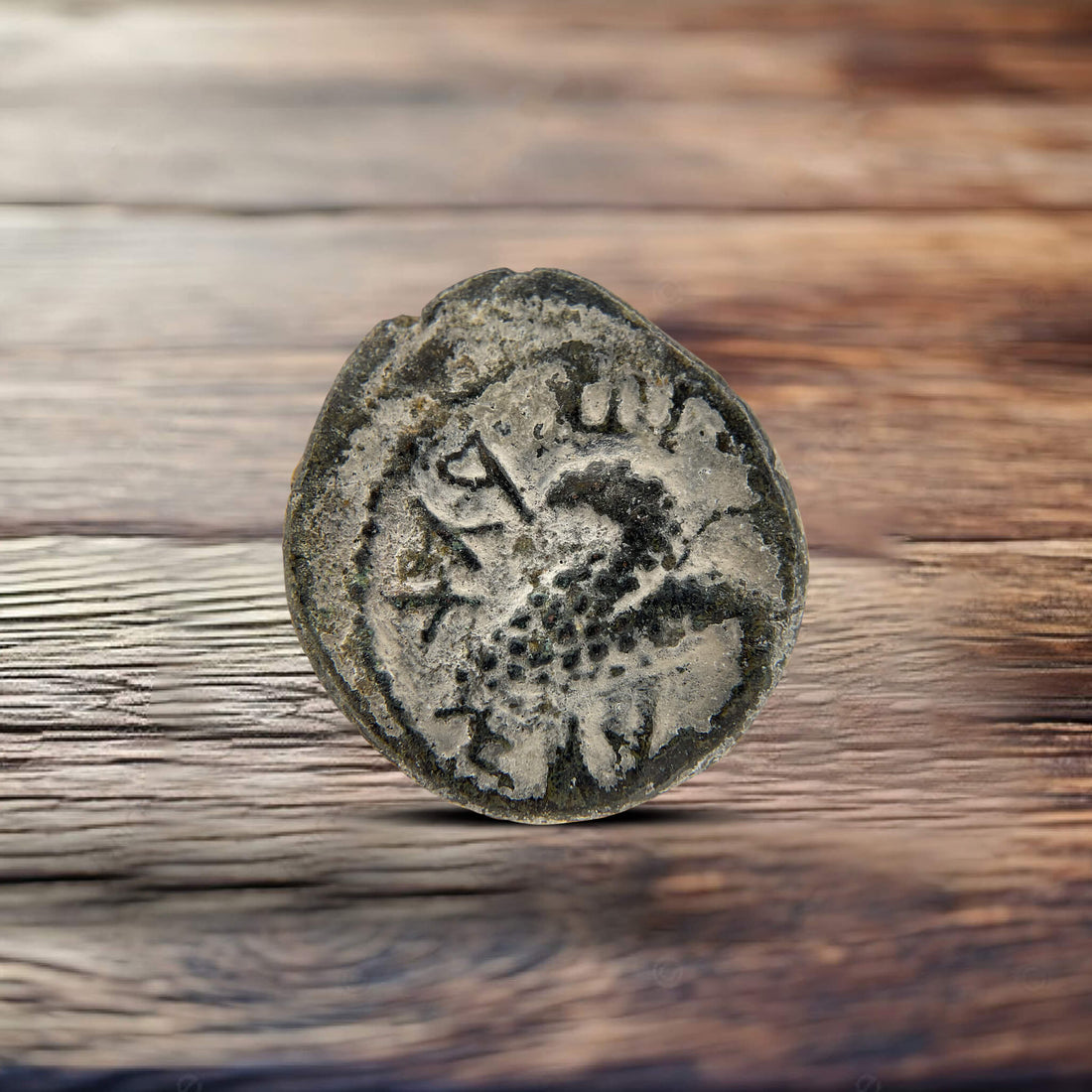 Bar Kokhba Revolt Coins
