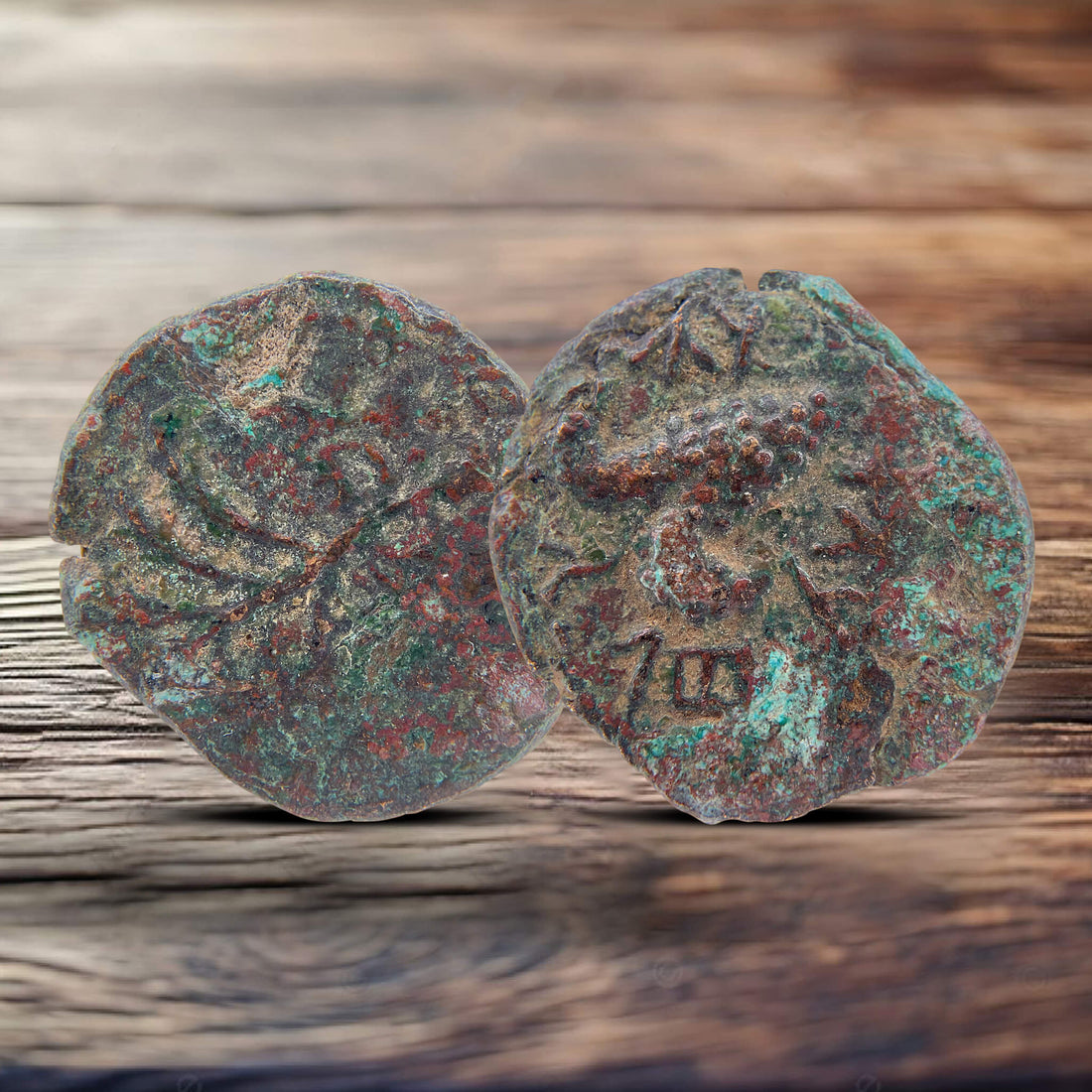 Bar Kokhba Revolt Coins