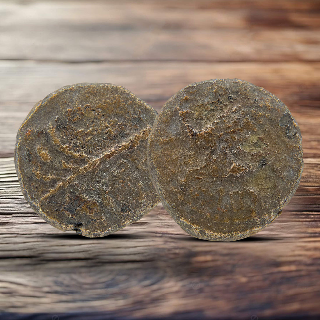 Bar Kokhba Revolt Coins