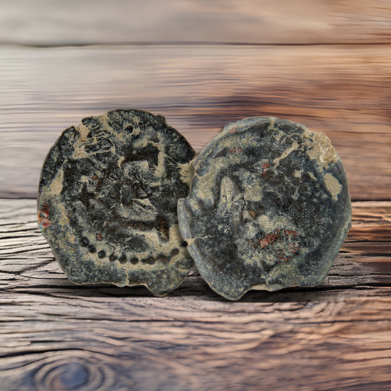 Herod Agrippa Coins