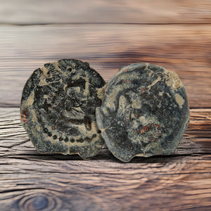 Herod Agrippa Coins
