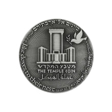 Load image into Gallery viewer, 70 Year Dark Coin Silver-Back (7604272595094)