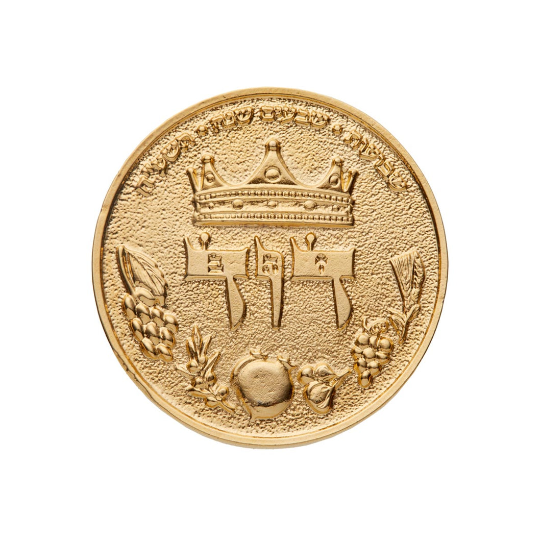 King David Half Shekel Gold Plated Coin (4182734569562)